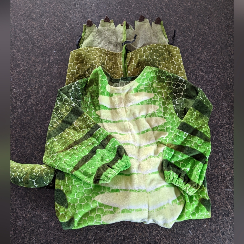 Rubie's Green Dinosaur Matching Set